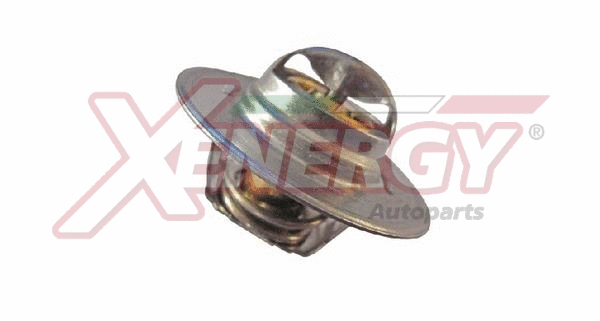 Thermostat, coolant (XT5962.88)
