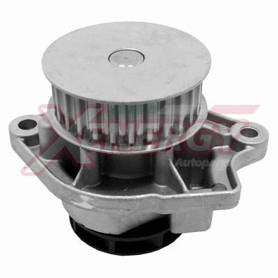 Water Pump, engine cooling (X202122)