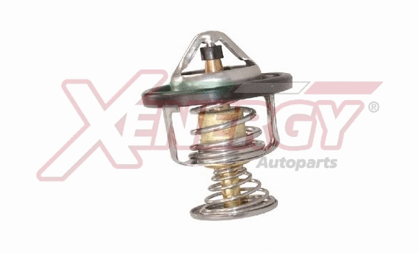 Thermostat, coolant (XT6876)