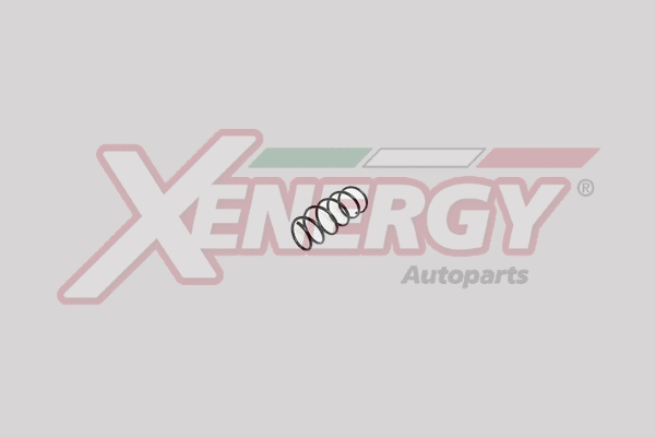 Suspension Spring (XSG7415)