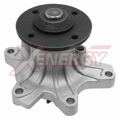 Water Pump, engine cooling (X204412)