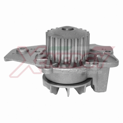 Water Pump, engine cooling (X200580)