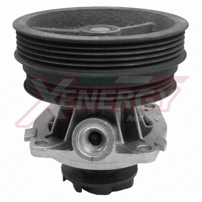 Water Pump, engine cooling (X201050)