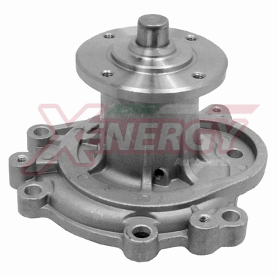 Water Pump, engine cooling (X201132)