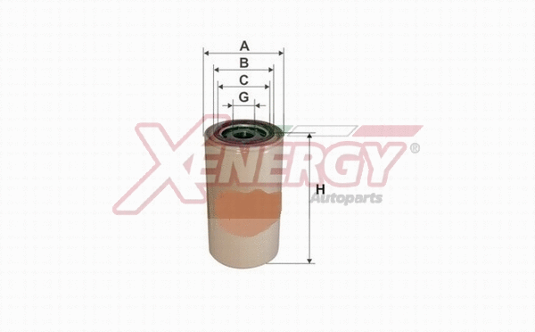 Fuel Filter (X1531300)