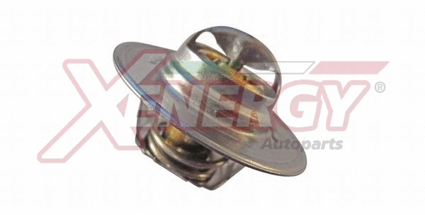 Thermostat, coolant (XT6244)