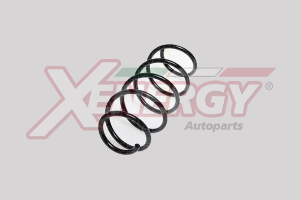 Suspension Spring (XSH8932)