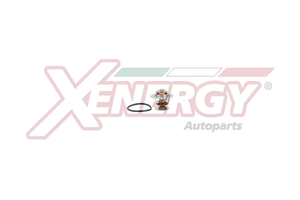 Thermostat, coolant (XT5151.84)