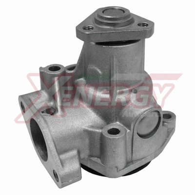 Water Pump, engine cooling (X204360)