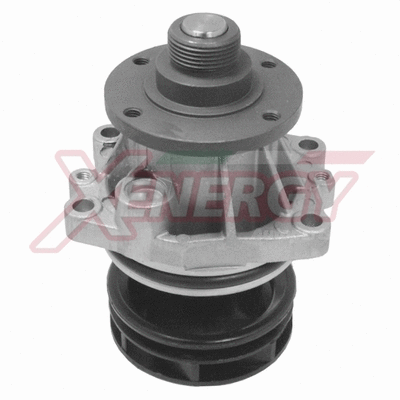 Water Pump, engine cooling (X200420)