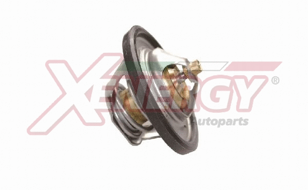 Thermostat, coolant (XT1410.92)