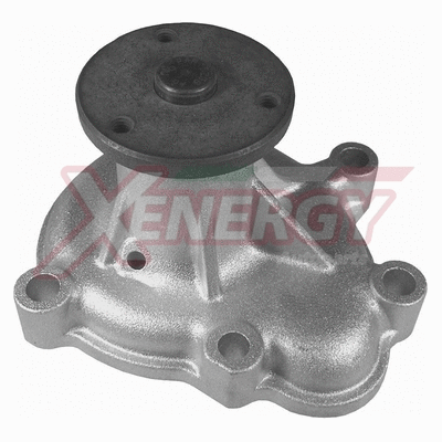 Water Pump, engine cooling (X204202)