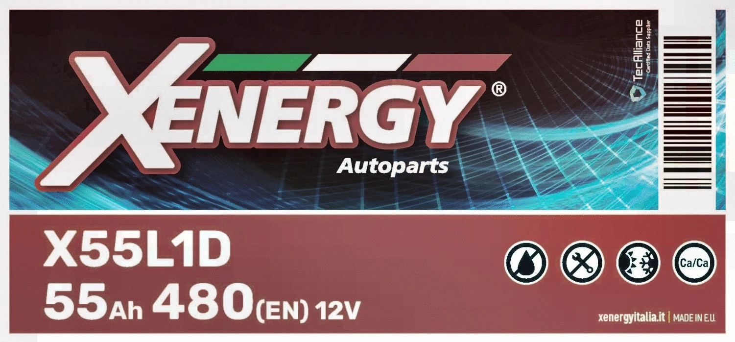 Starter Battery (X55L1D)