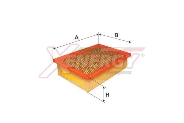 Air Filter (X1521564)