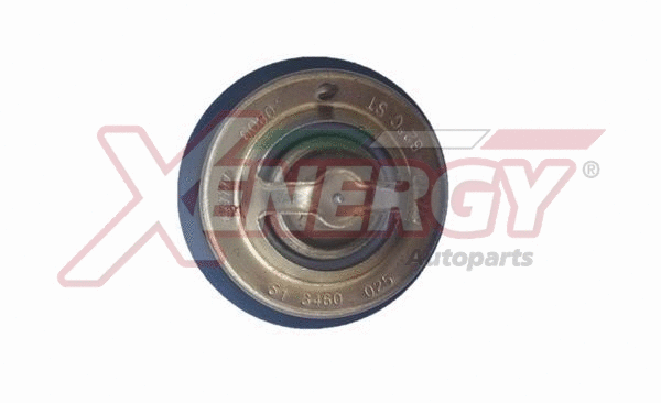 Thermostat, coolant (XT4856)