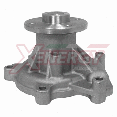 Water Pump, engine cooling (X204422)