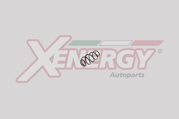 Suspension Spring (XSH1317)