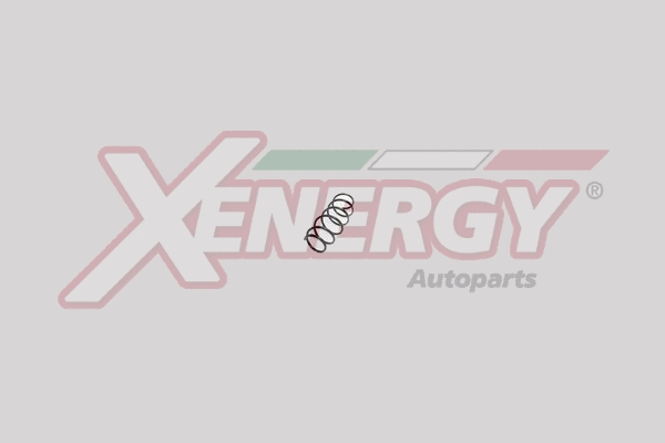 Suspension Spring (XSH0535)
