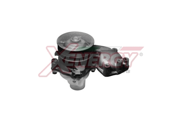 Water Pump, engine cooling (X208071)