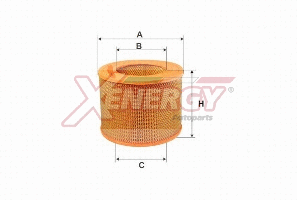 Air Filter (X159307)