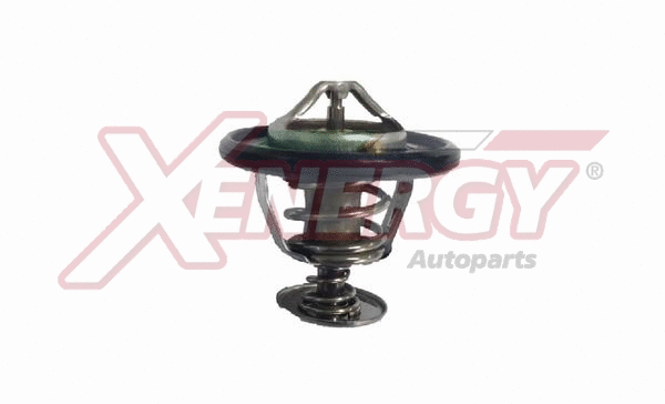 Thermostat, coolant (XT6295.82)