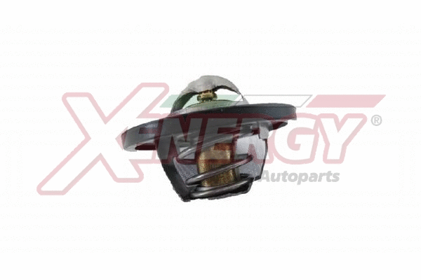 Thermostat, coolant (XT5108.83)