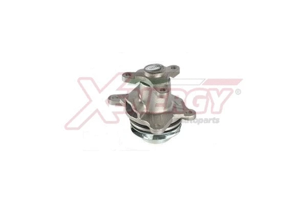 Water Pump, engine cooling (X207582)