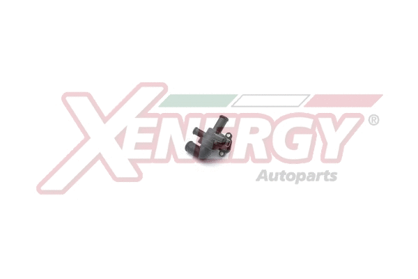 Thermostat, coolant (XT6969)