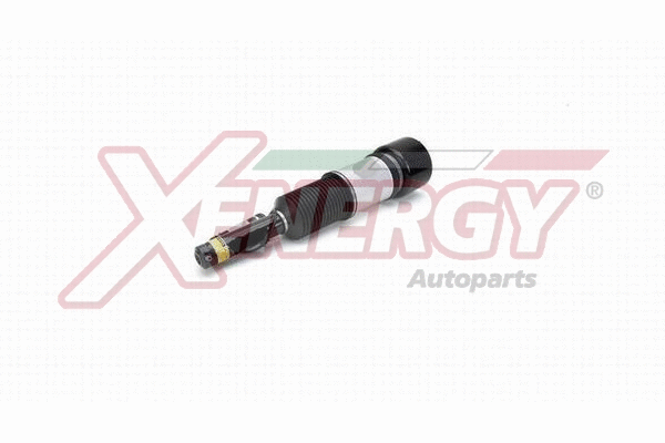 Air Suspension Strut (XPAS0526)