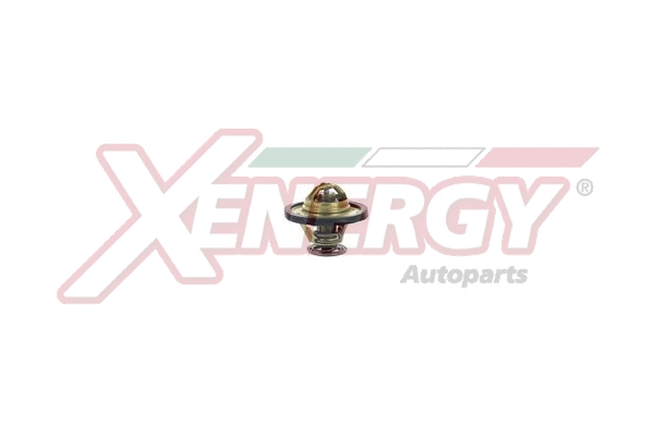 Thermostat, coolant (XT6581)