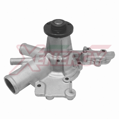 Water Pump, engine cooling (X200020)
