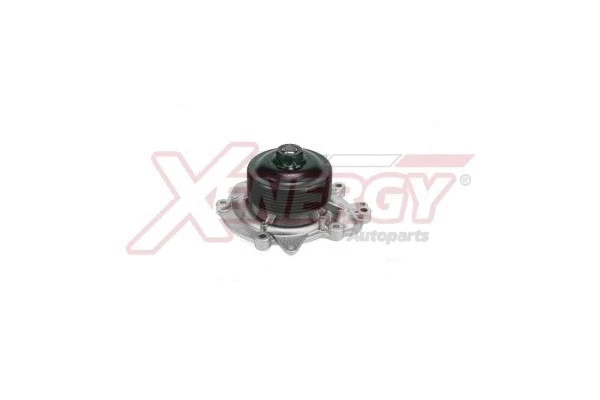 Water Pump, engine cooling (X206802)