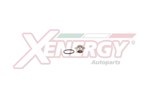 Thermostat, coolant (XT5962.82)