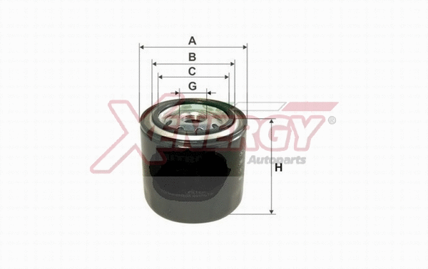 Fuel Filter (X159944)
