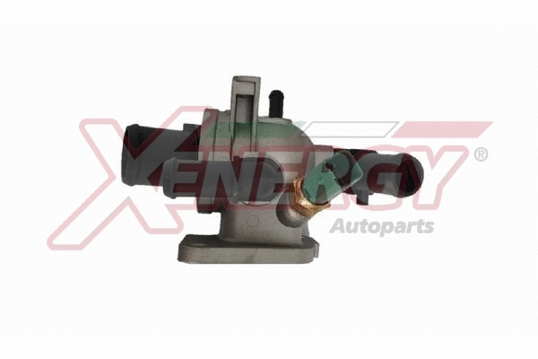 Thermostat, coolant (XT6981)