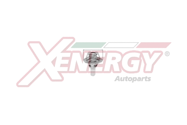 Thermostat, coolant (XT5284.86)