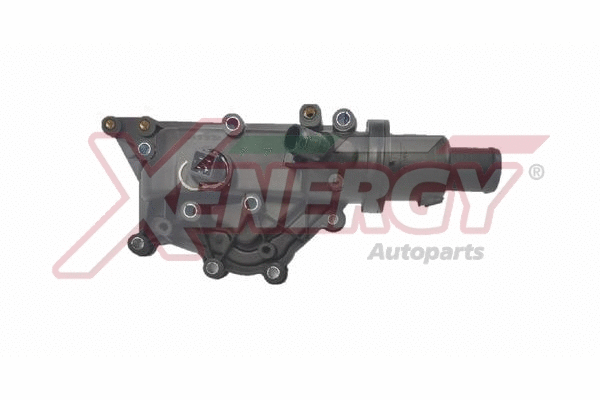 Thermostat, coolant (XT6971)