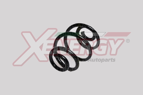 Suspension Spring (XSJ9261)