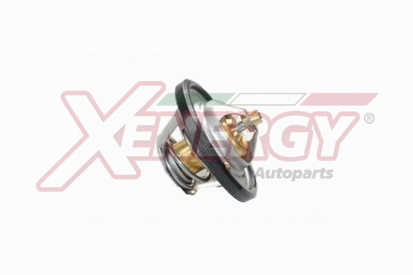 Thermostat, coolant (XT4898.87)