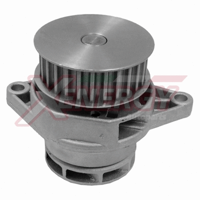 Water Pump, engine cooling (X205432)