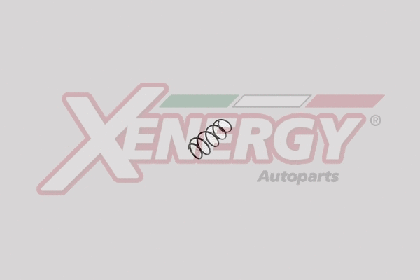 Suspension Spring (XSG6613)