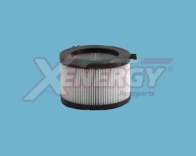 Filter, cabin air (X10662)