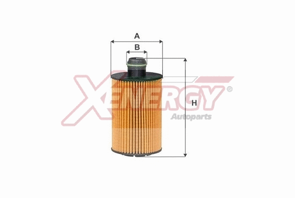 Oil Filter (X1507901)