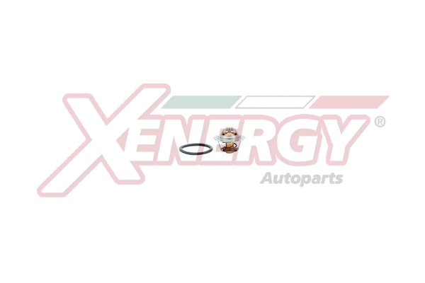 Thermostat, coolant (XT6047.89)