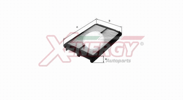 Air Filter (X1538300)