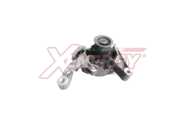 Water Pump, engine cooling (X208061)