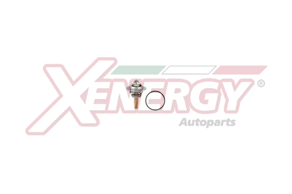 Thermostat, coolant (XT6962)