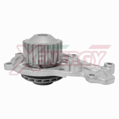 Water Pump, engine cooling (X202942)