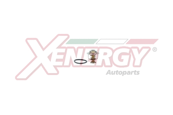 Thermostat, coolant (XT6295.88)