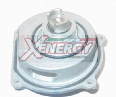 Water Pump, engine cooling (X207172)